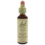 Larch