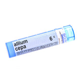 Allium Cepa 6c