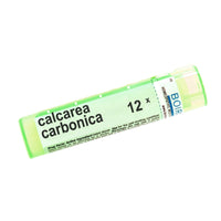 Calcarea Carbonica 12x