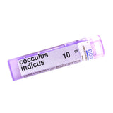 Cocculus Indicus 10m