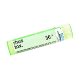 Rhus Toxicodendron 30x