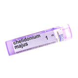 Chelidonium Majus 1m