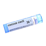 Coccus Cacti 30c