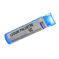 Ledum Palustre 5c