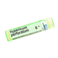 Hypericum Perforatum 6x