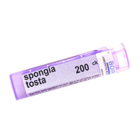 Spongia Tosta 200ck