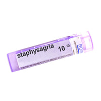 Staphysagria 10m