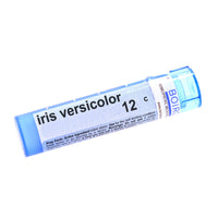 Iris Versicolor 12c
