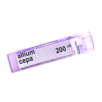 Allium Cepa 200ck