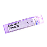 Calcarea Fluorica 1m