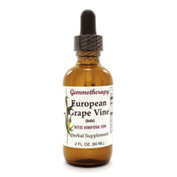 European Grape Vine/Vitis Vinifera