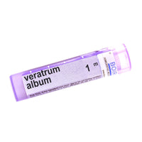 Veratrum Album 1m