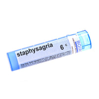 Staphysagria 6c