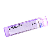 Sabadilla 1m