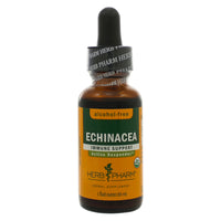 Echinacea Glycerite