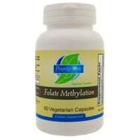 Folate Methylation