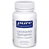 Lactobacillus Sporogenes