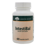 IntestiBal