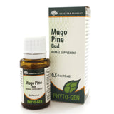 Mugo Pine Bud