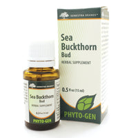 Sea Buckthorn Bud