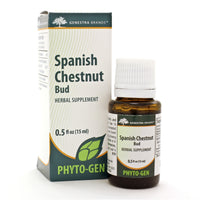 Spanish Chestnut Bud