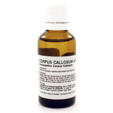Corpus callosum 4ch Liquid