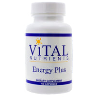 Energy Plus