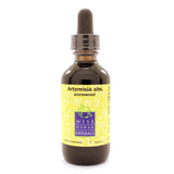 Artemisia absinthium - wormwood